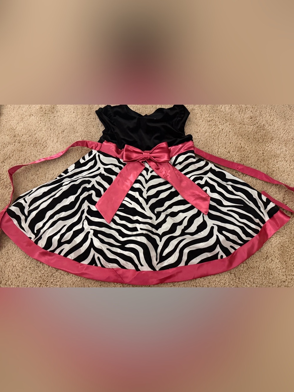 Zebra Print & Pink Little Girls Dress Size 4T Y2K